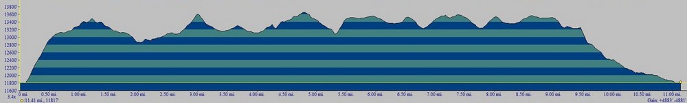 Elevation Profile